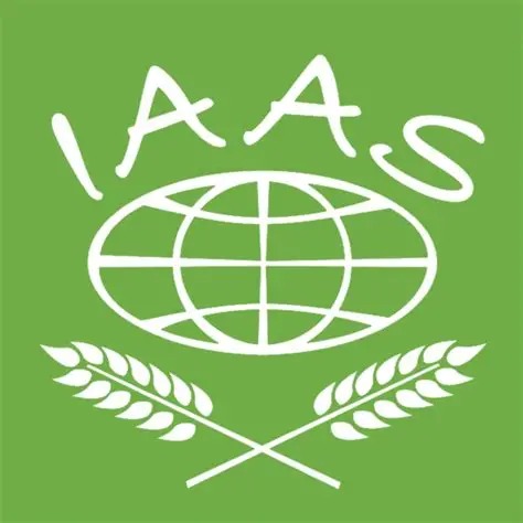 IAAS